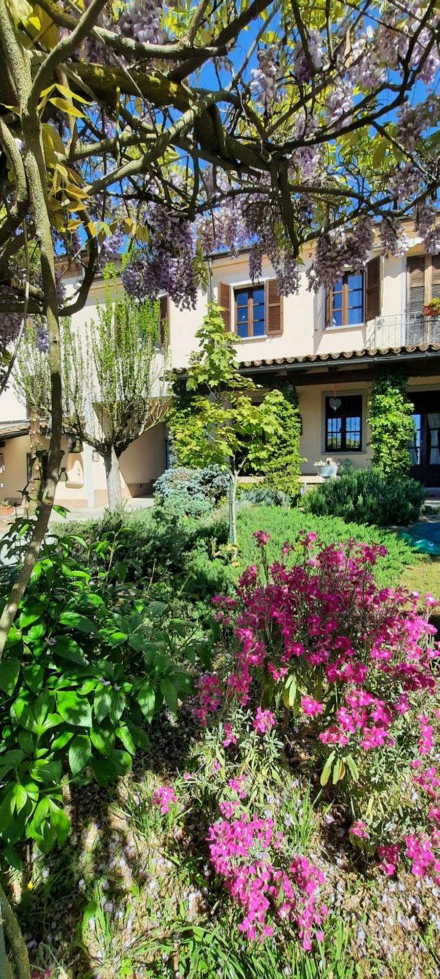 San Rocco Di Villa Di Isola D'Asti Ngoại thất bức ảnh